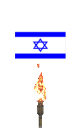israeli_flag.gif 