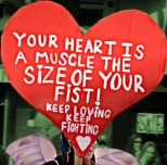 200_rts_sf_f14_-_heart_muscle.jpg
