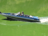 200_boats_in_green_water-3-lowres.jpg