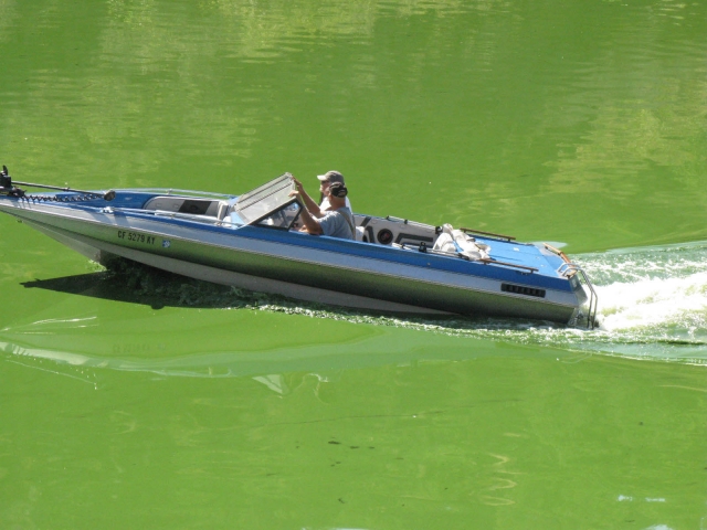 640_boats_in_green_water-3-lowres.jpg 