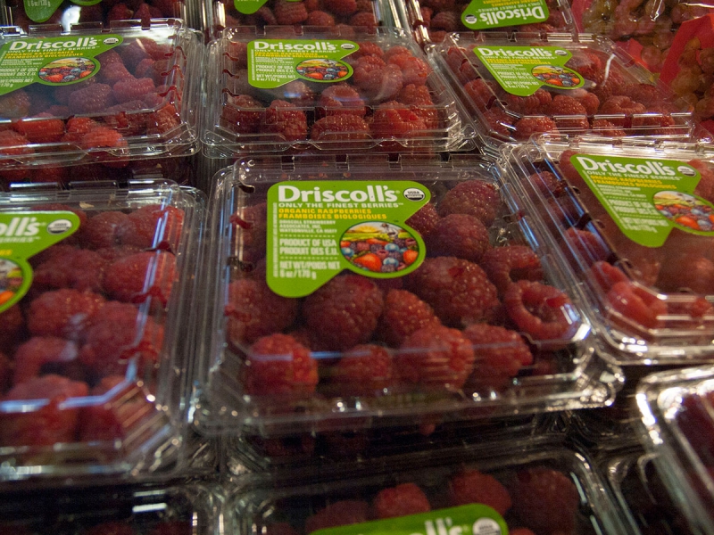 800_driscolls-raspberries_4_2-26-16.jpg 