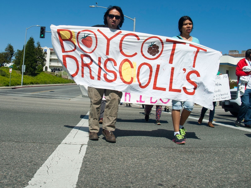 800_boycott-driscolls-watsonville_4_3-31-16.jpg 