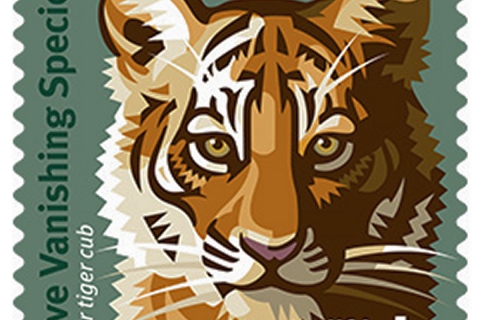 480_tiger_stamp_1.jpg