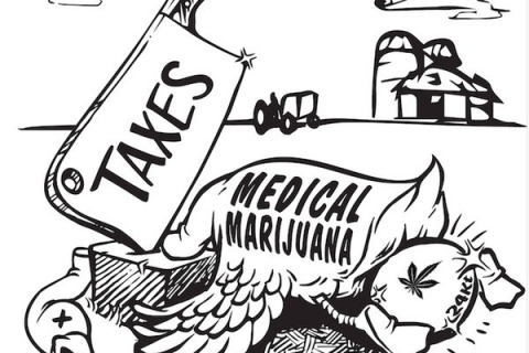 480_medical-marijuana-taxes_1.jpg