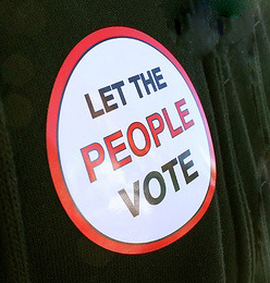 let-the-people-vote-sticker.jpg 
