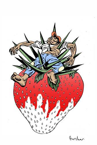 farmworker_on_strawberry_killed_graphic.jpg 
