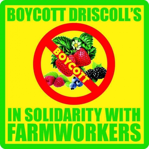 sm_boycott_driscolls.jpg 