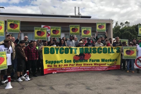 480_boycott-driscolls-support-farmworkers_1.jpg