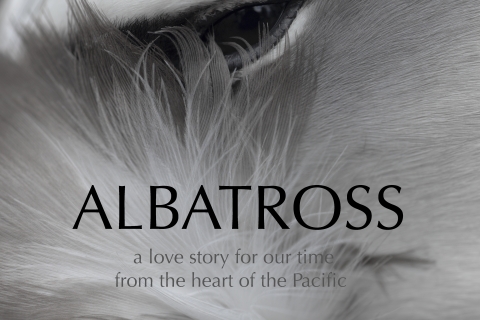 480_albatross_film_poster_highres_1.jpg