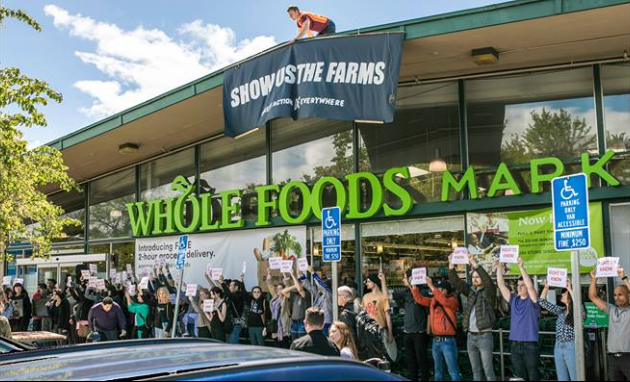 wholefoods-berkeley-directactioneverywhere.png 