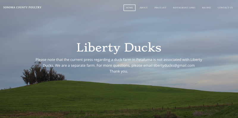 sm_liberty-ducks-homepage-june-4-2019.jpg 