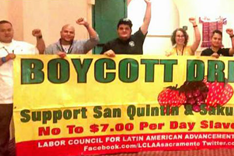 LCLAA Resolution In Solidarity with the Farmworkers In San Quintín and Skagit County